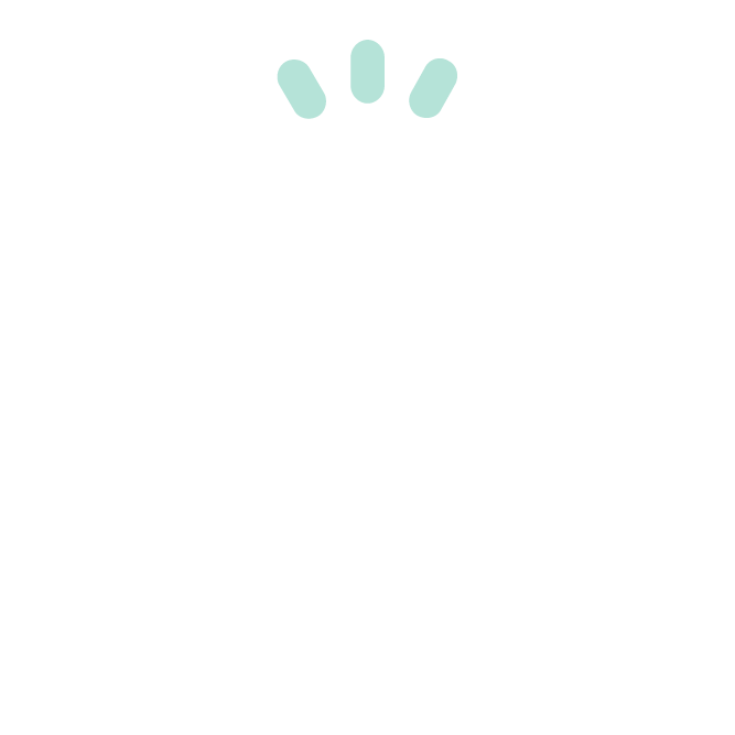 guideline-icon-5